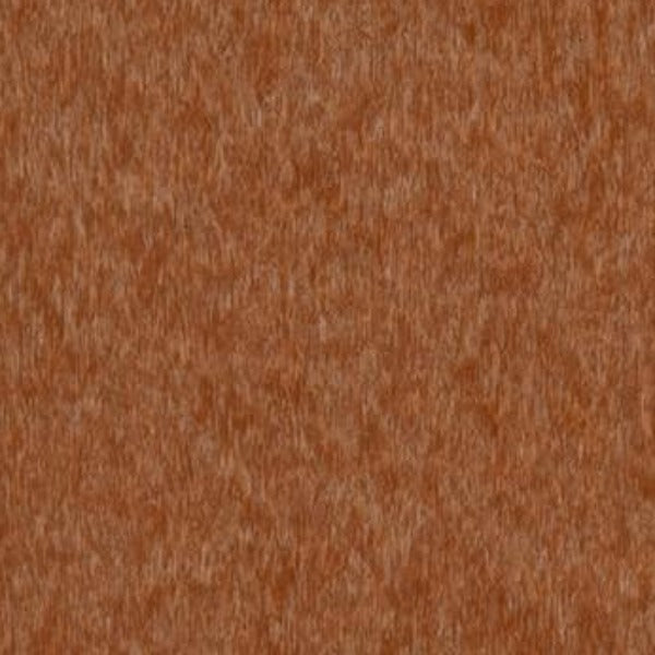 Poly-Luxe Plastic Camp Chair