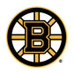 NHL Arm Engraving